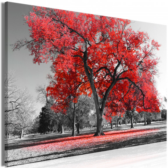 Tablou Autumn In The Park (1 Part) Wide Red
