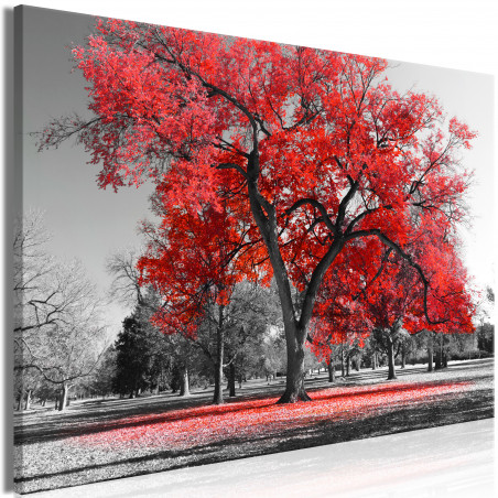 Tablou Autumn In The Park (1 Part) Wide Red-01