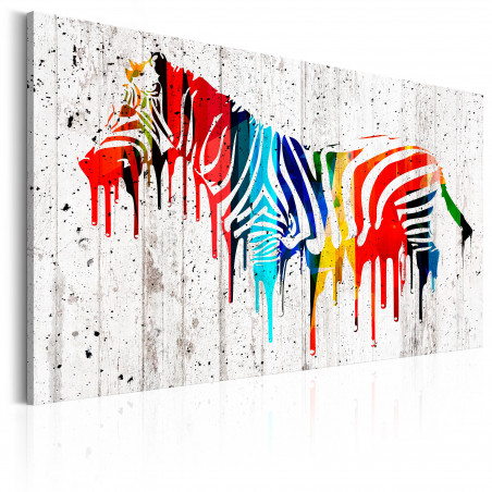 Tablou Colourful Zebra-01