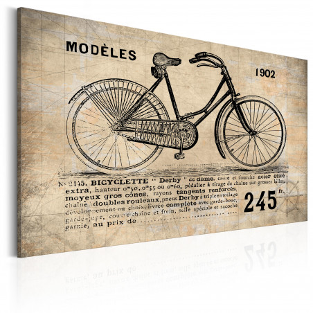 Tablou N° 1245 Bicyclette-01