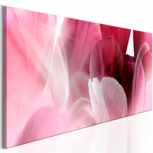 Tablou Flowers: Pink Tulips