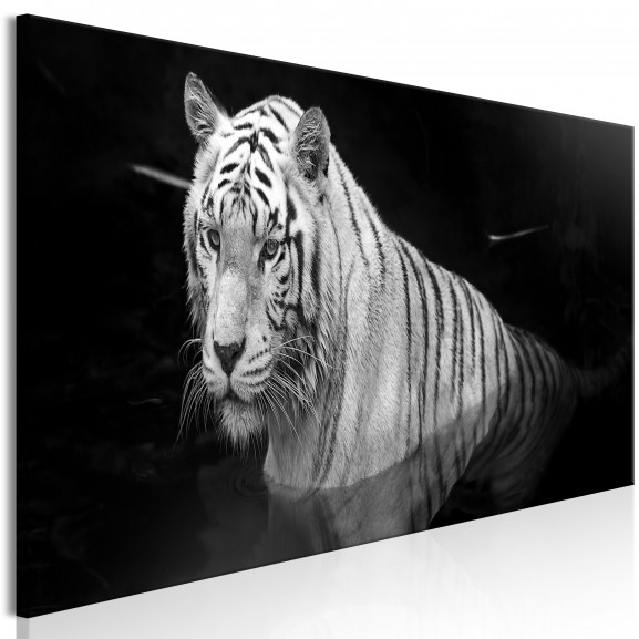 Tablou Shining Tiger (1 Part) Black And White Narrow