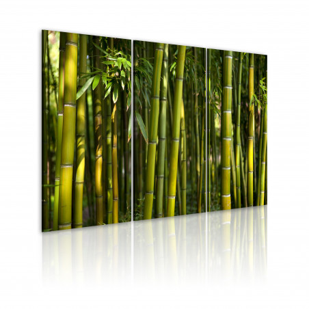 Tablou Green Bamboo-01