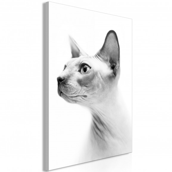 Tablou Hairless Cat (1 Part) Vertical