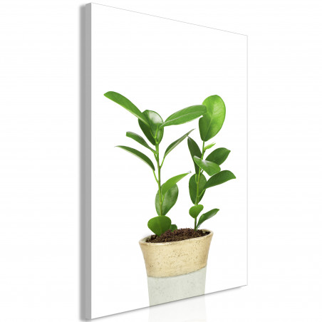 Tablou Plant In Pot (1 Part) Vertical-01