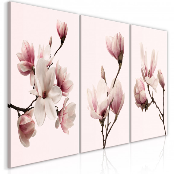 Tablou Spring Magnolias (3 Parts)
