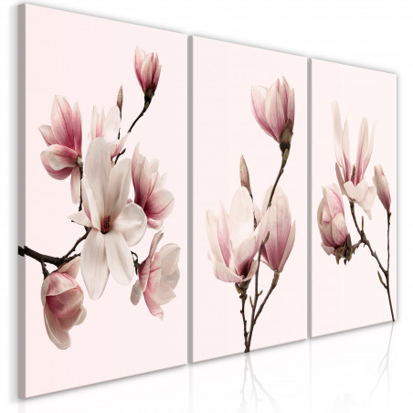 Tablou Spring Magnolias (3 Parts)-01