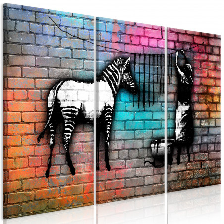 Tablou Washing Zebra Colourful Brick (3 Parts)-01