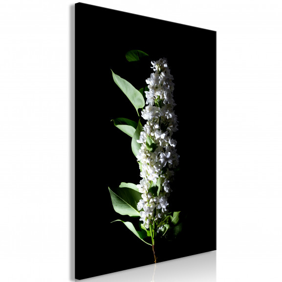 Tablou White Lilacs (1 Part) Vertical