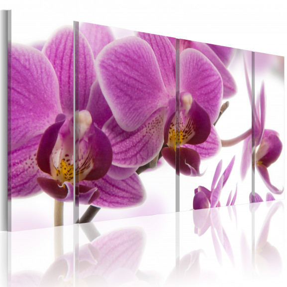 Tablou Marvelous Orchid