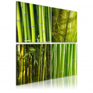 Tablou Bamboos
