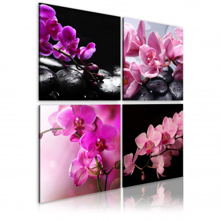 Tablou Orchids More Beautiful Than Ever-01