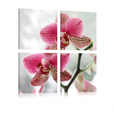 Tablou Fancy Orchid-01