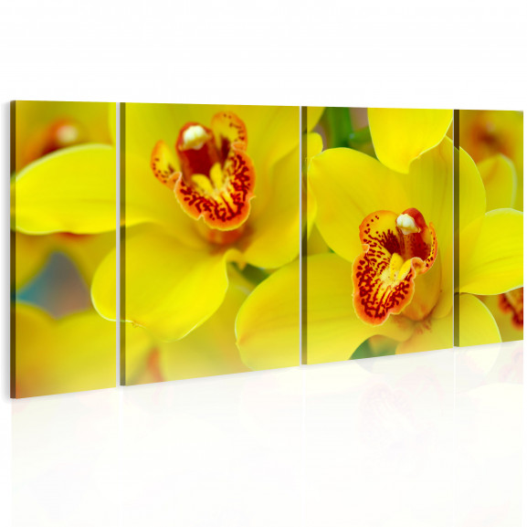 Tablou Orchids Intensity Of Yellow Color