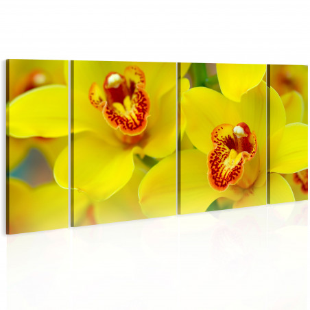Tablou Orchids Intensity Of Yellow Color-01