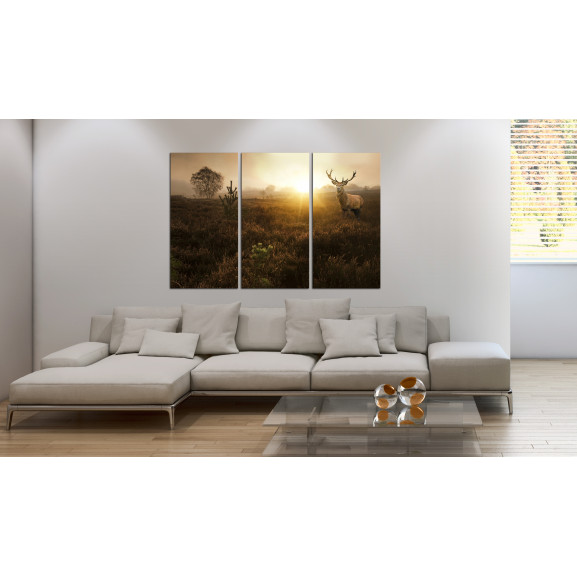 Tablou foggy field i
