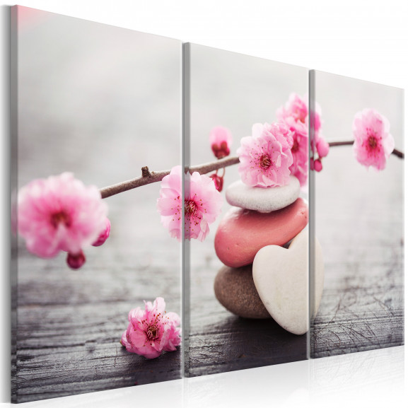 Tablou Zen: Cherry Blossoms Ii