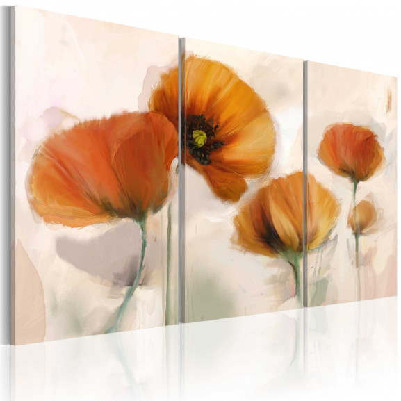 Tablou Artistic Poppies Triptych