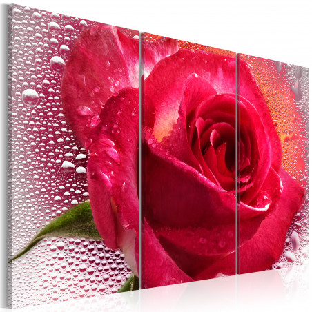 Tablou Lady Rose Triptych-01