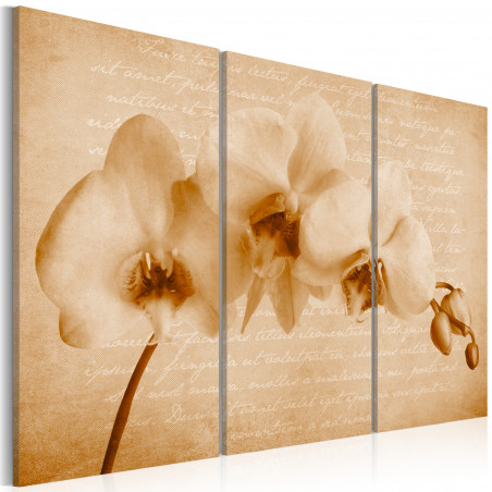 Tablou Orchid (Vintage)-01
