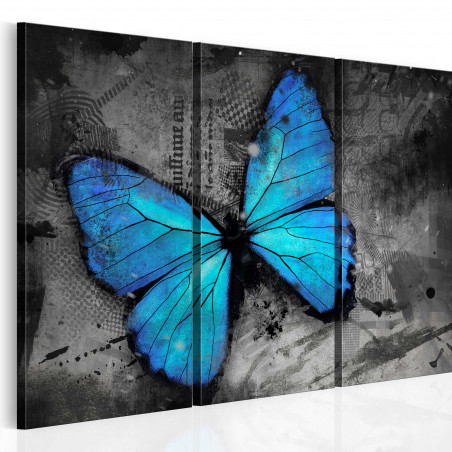 Tablou The Study Of Butterfly Triptych-01