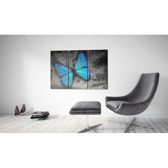 Tablou The Study Of Butterfly Triptych