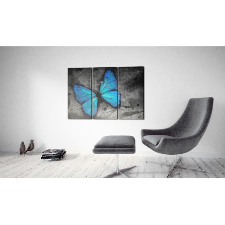 Tablou The Study Of Butterfly Triptych-01
