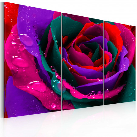 Tablou Rainbow-Hued Rose-01