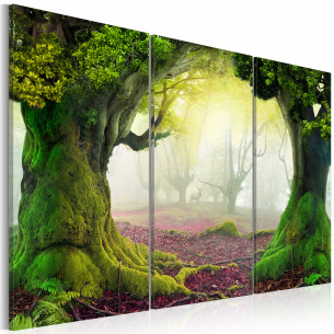 Tablou Mysterious Forest Triptych