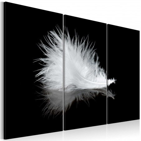 Tablou A Small Feather-01