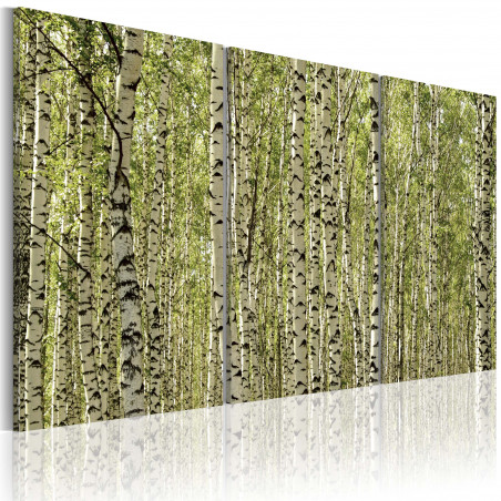 Tablou A Forest Of Birch Trees-01