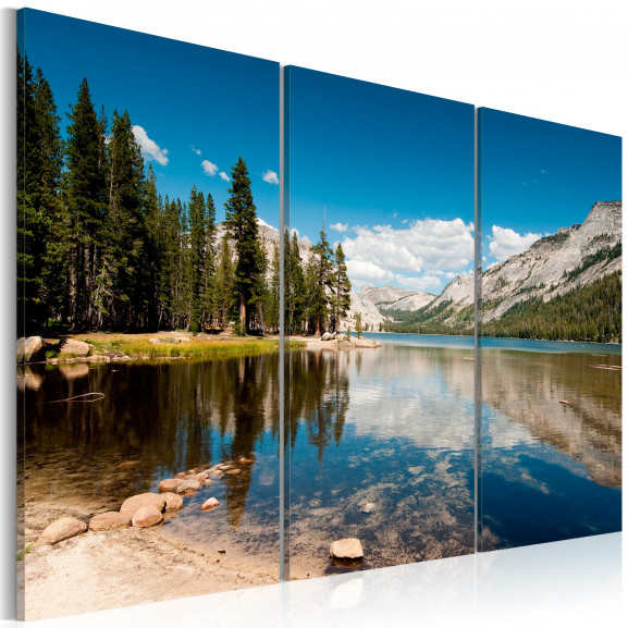 Tablou Mountains, Trees And Pure Lake