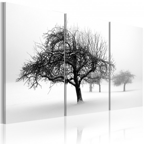 Tablou Trees Submerged In White