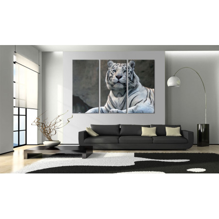 Tablou White Tiger-01