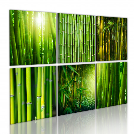 Tablou Bamboo Has Many Faces-01