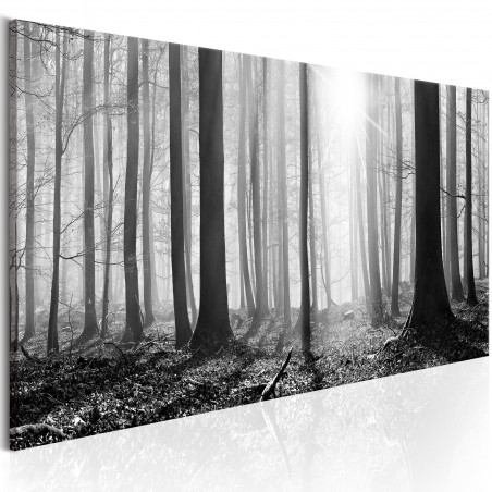 Tablou Black And White Forest-01