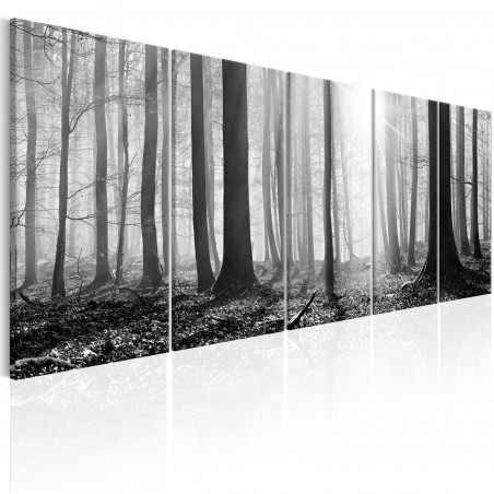 Tablou Monochrome Forest-01