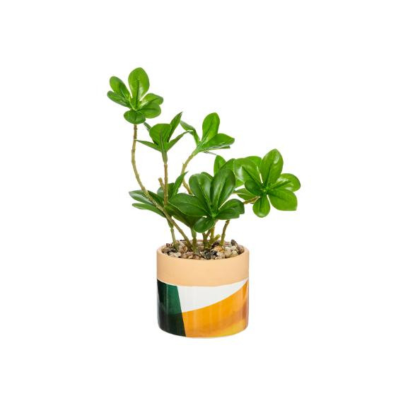 Plante Ghiveci Ceramic Verde/Portocaliu