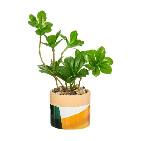 Plante Ghiveci Ceramic Verde/Portocaliu-01