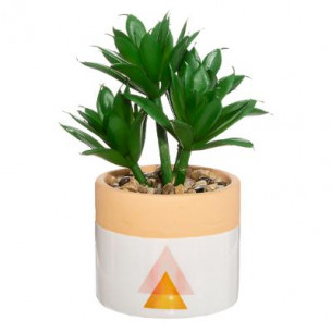 Plante Ghiveci Ceramic Alb