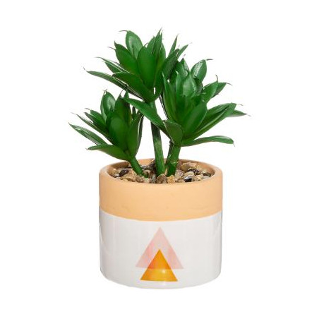 Plante Ghiveci Ceramic Alb-01