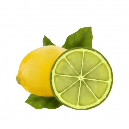 Lumanare Parfumata Lemon & Lime-01