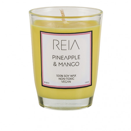 Lumanare Parfumata Pineapple & Mango-01
