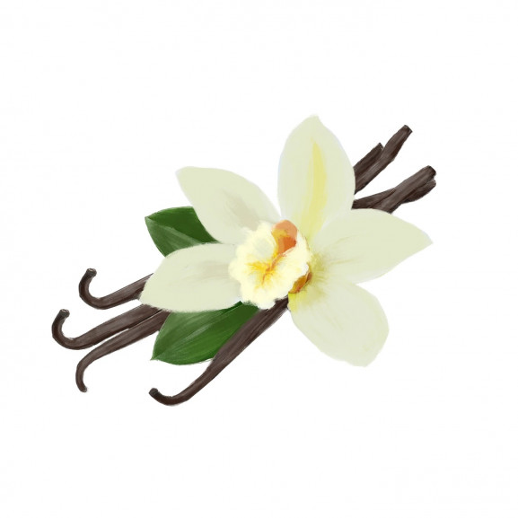 Lumanare parfumata vanilla