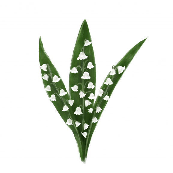 Pastila de Ceara Parfumata Lily of the Valley