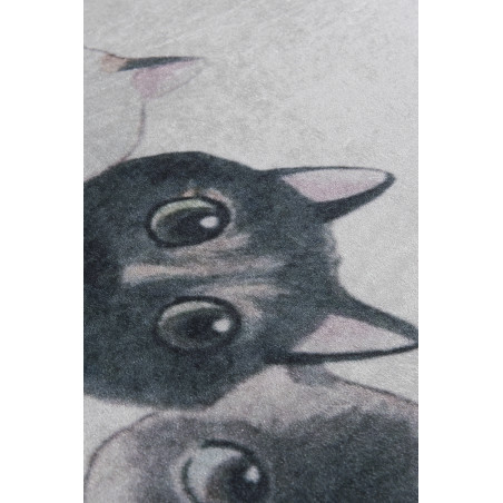 Covor Baie Angry Cats 40X60 cm-01