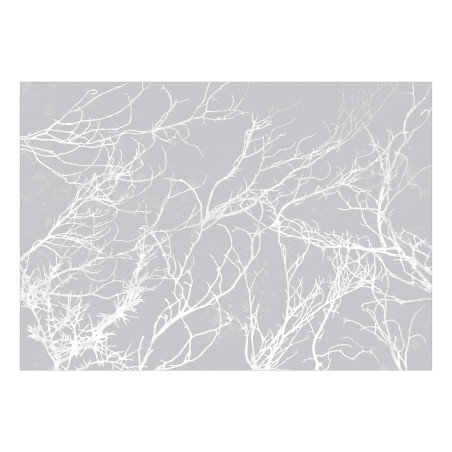 Fototapet White Trees-01