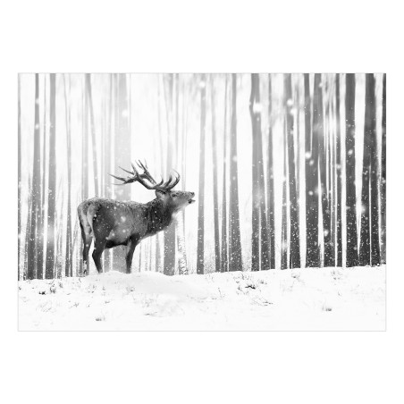 Fototapet Deer in the Snow (Black and White)-01