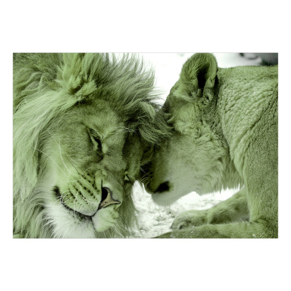 Fototapet Lion Tenderness (Green)
