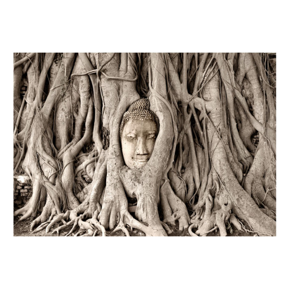 Poza Fototapet Buddha's Tree